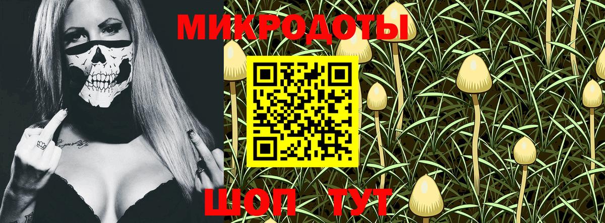 Галлюциногенные грибы мицелий  Псилоцибиновые грибы Cubensis  Вход с VPN  Бор 
